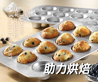 ʳƷ���bģ��